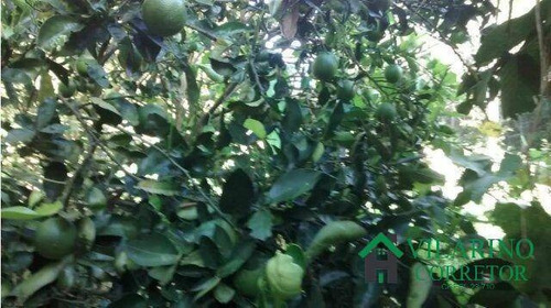 Imagem 9 de 15 de Sitio Com Muita Água Em Itatiaiuçu - Casa 3 Quartos - 2487v