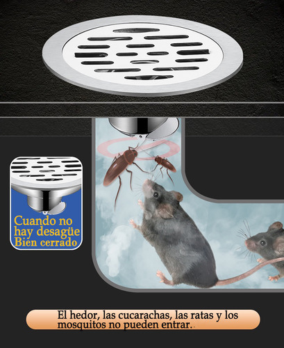 Coladera Baño Anti Olores Y Insectos Sistema Antirretorno