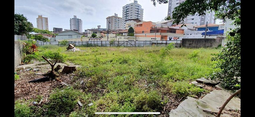 Imagem 7 de 12 de Terreno De 965 M² - Barreiros - São José/sc - Te0761