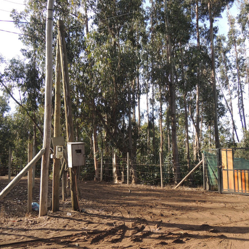 Terreno De 7.428 Mt A 200 Mt De Bajada Playa Caucau, Horcon