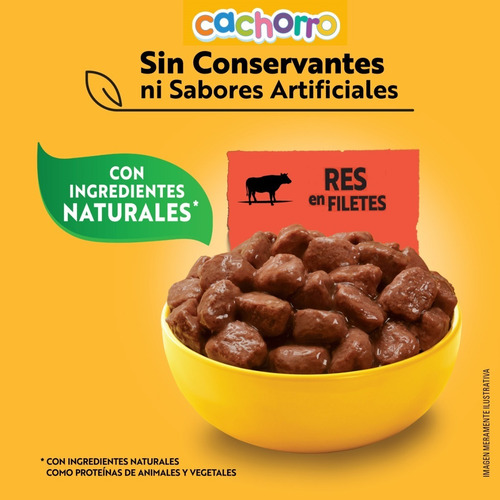 Imagen 5 de 8 de Pedigree Alimento Húmedo Cachorros Res En Filetes 10 Sobres