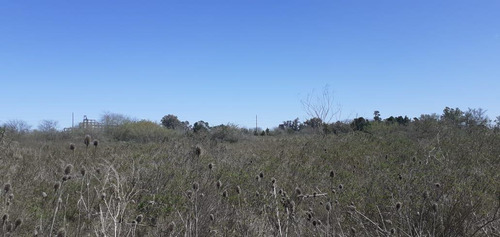 Imagen 14 de 30 de Terreno En Venta En La Plata Calle 44 Esq 177 - Dacal Bienes Raices