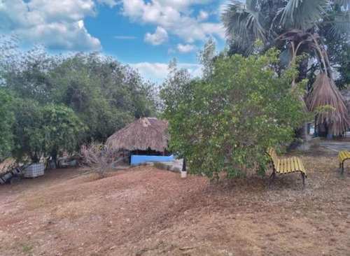 Imagen 17 de 30 de Finca En Venta Via A Duaca Barquisimeto Rah 22-21687 Maribel Morillo & Naudy Escalona Tlf. 04245543093/04145093007