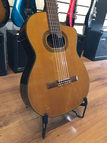 Takamine on sale e50 nylon