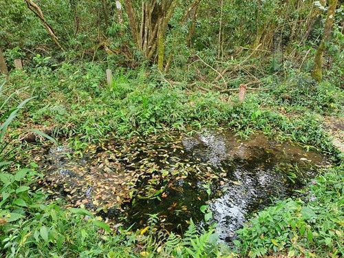 Imagem 8 de 14 de Cod 6139 - Chácara Com Lago Na Cidade De Ibiúna - 6139