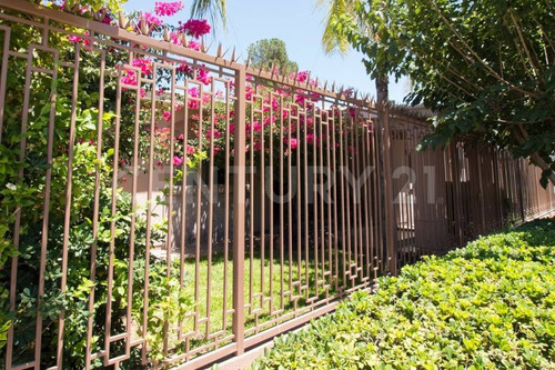 Imagen 3 de 28 de Casas En Venta Delicias Chihuahua