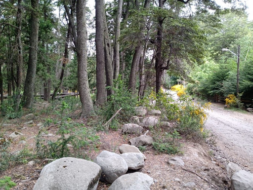 Terreno En Venta En Villa Traful Con Arboles Añejos