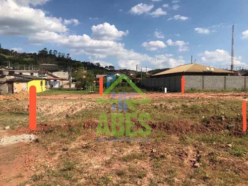 Imagem 1 de 8 de Terreno - Te00005 - 68383003