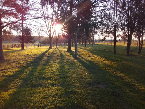 Imagen 2 de 7 de Campo - Uruguay