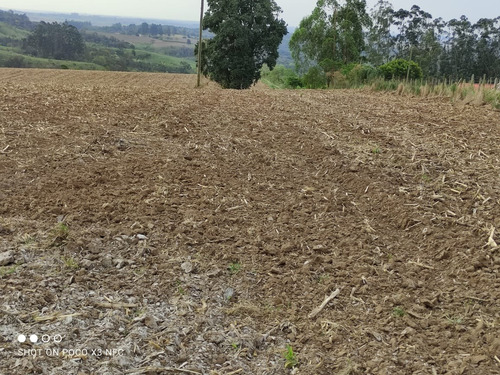 Imagem 5 de 11 de Sítio 8 Alqueires, Planta 6,5 Alqueires, Sem Benfeitorias, Água Corrente No Fundo Da Propiedade, 2,5km Do Asfalto - St00124 - 70141822