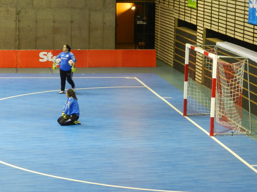 Imagen 1 de 3 de Red De Baby Futbol O Futsal Patagoon