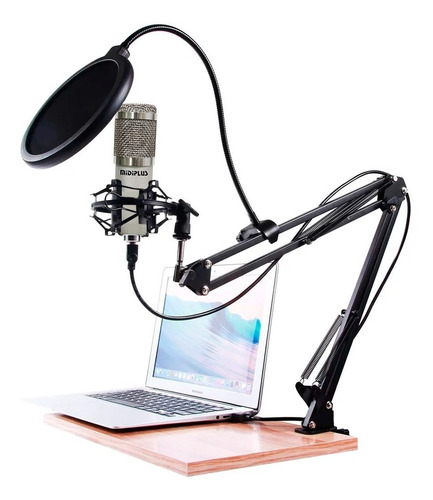 Imagen 7 de 10 de Kit Micrófono Condenser Cardioide Usb Midiplus Usb800 Gris