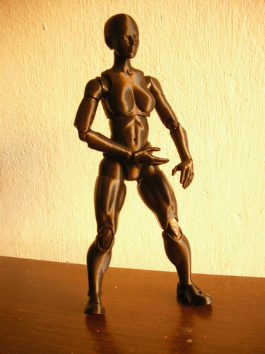 Imagen 6 de 9 de Muñeco Maniqui Femenino Articulado Body Chan 24 Cm Dibujo 3d