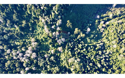 Field In Cunco Of 21.27 Ha. Incredible Opportunity