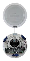 Comprar 2 Parlantes Techo 6.5'' 1 Activo 1 Pasivo Musica Funcional B