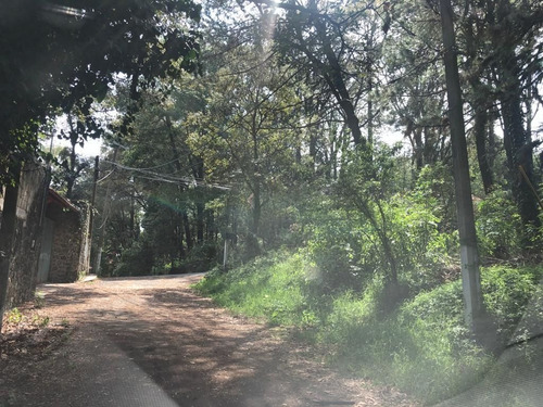 Imagen 6 de 8 de Aproveche Para Constuir Su Cabaña