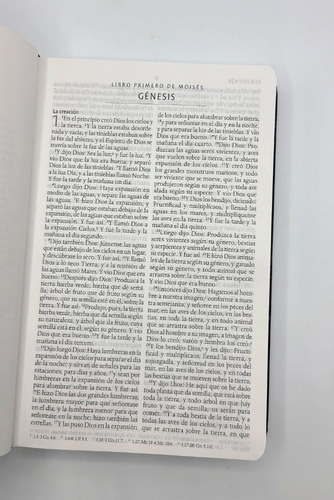 Imagen 4 de 9 de Biblia Rvr1960 Tapa Dura Letra Grande León Imagenes D Israel