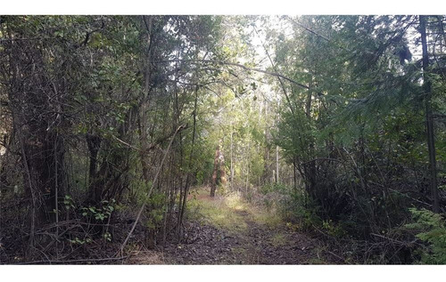 Lote 7,9 Ha Lago Puelo Increíbles Vistas
