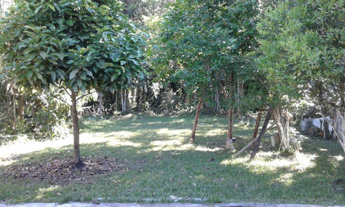 Chácara Na Praia -venda- Zona Rural Mongaguá-sp - Ref. 515