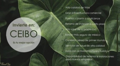 Imagen 8 de 8 de Se Venden Lotes Ceibo - Dzidzantún