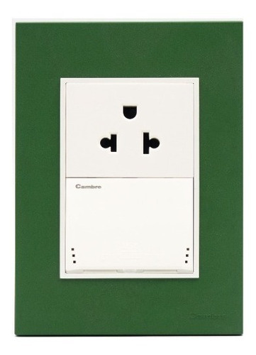 Placa Bauhaus Verde, Toma U S B Doble, Linea Premium