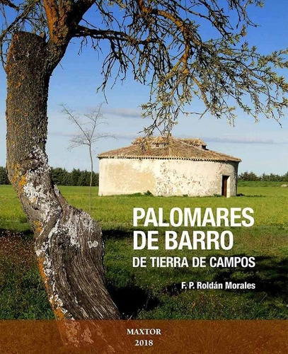 Palomares de barro de Tierra de Campos, de Roldan Morales, Francisco Pedro. Editorial Maxtor, tapa blanda en español