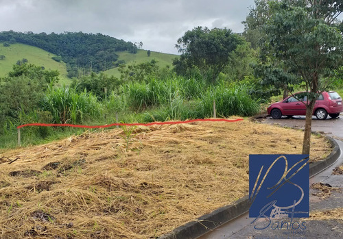 Imagem 2 de 9 de Terreno - Te00048 - 68374948