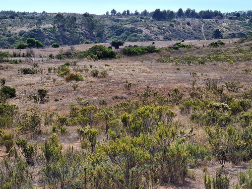 Imagen 25 de 25 de Parcelas De 5.000 Con/sin Vista Mar En Condominio Algarrobo