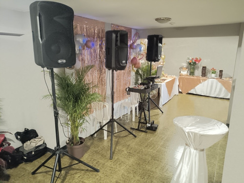 Imagen 2 de 5 de Alquiler De Sonido Profesional Básico Económico Eventos