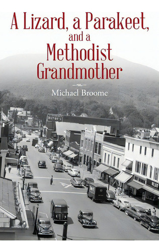 A Lizard, A Parakeet, And A Methodist Grandmother, De Broome, Michael. Editorial Vertel Pub, Tapa Blanda En Inglés