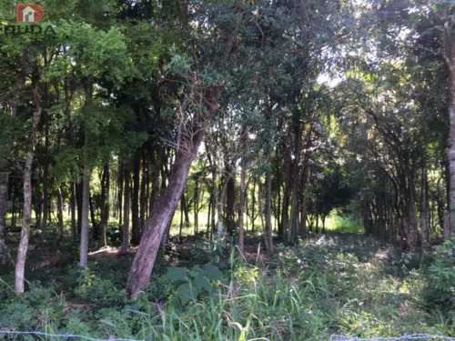 Imagem 3 de 6 de Terreno - Primeira Linha - Ref: 22580 - V-22580