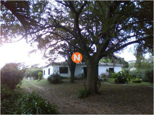 Imagen 2 de 17 de Chacra En Venta Los Robles - Maldonado Ruta 39