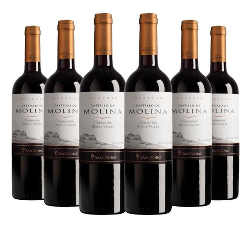 6 Vinos Castillo De Molina Carmenere