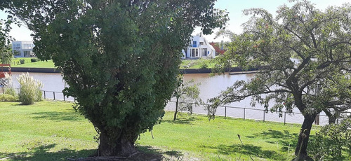 Imagen 9 de 30 de Lote-venta-el Cazal-escobar