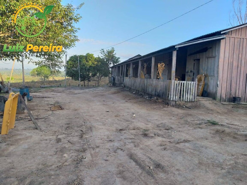 Imagem 10 de 15 de Fazenda À Venda Em Pacajá - Pa - De 625 Alqueirões (dupla Aptidão) - 1830