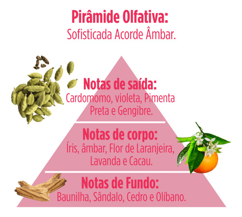 Shampoo Pós Química Salon Opus 350ml Cless Reconstrução