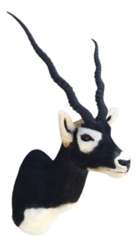 Animales Disecados 100% Artificiales Black Buck