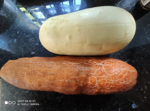 Sobre Semilla Pepino Rojo Labrado