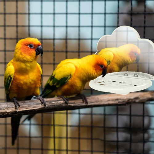 Espejo Para Jaula Para Espejo Para Pájaros Con Perce