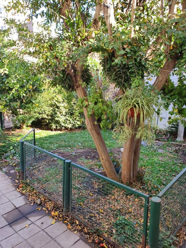 Imagen 11 de 15 de Venta De Casa Con 2 Dormitorios En Wilde Centro