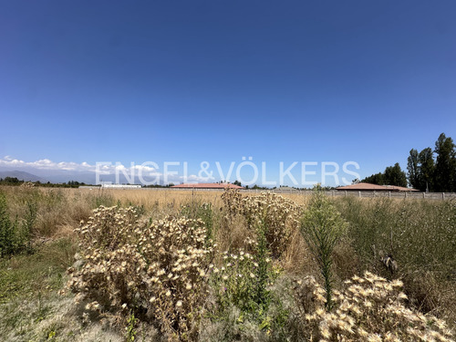 Terreno En Venta En Requinoa