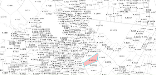 120 Has De Campo Con Alto Indice De Coneac Linda Con Río San Salvador Con Opcion A Dos Padrones Con Total 250 Has