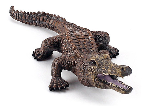 Modelo De Cocodrilo 5 Piezas