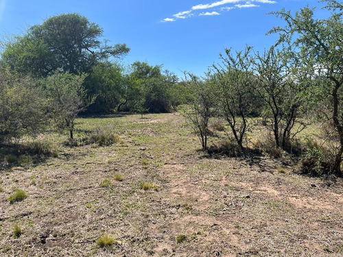 Venta Campo Villa Quillinzo (40 Hectareas) Ideal Para Loteo
