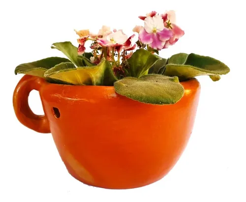 comprar Vaso De Barro Para Plantas Suculentas Orquidea Jardim Flores