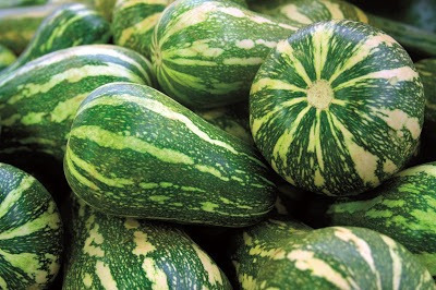 300 Sementes P Muda Abóbora Rajada Gigante Paulista Moranga