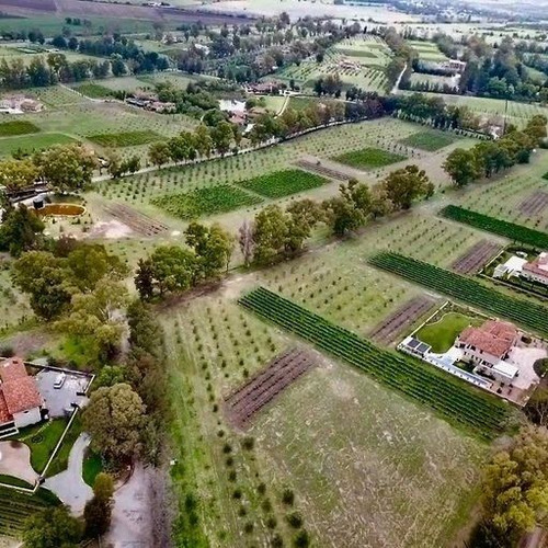 Venta De Terreno En Viñedo San Lucas, San Miguel De Alende