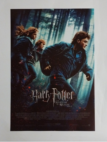 Póster Harry Potter Las Reliquias De La Muerte 1