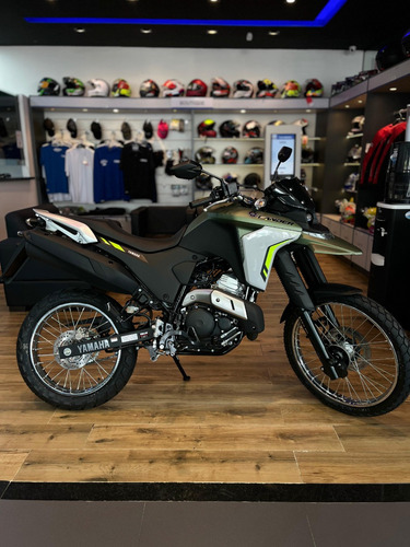 Lander 250 Abs 2025 Pronta Entrega (vend Erick)