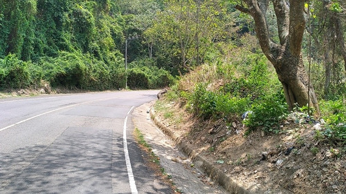Imagen 6 de 8 de Vendo O Alquilo Bonito Terreno Para Proyecto Comercial